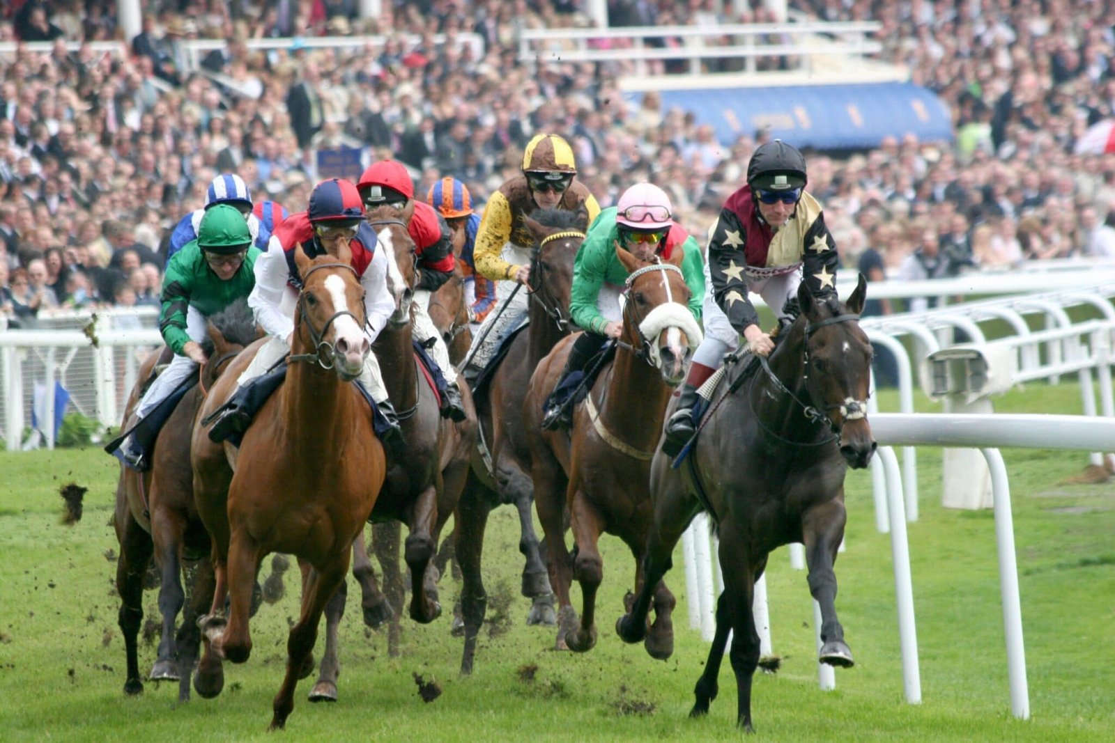 Chester Racecourse - iVisit